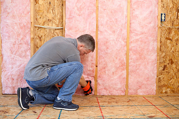 Best Types of Insulation in Wilmington Manor, DE